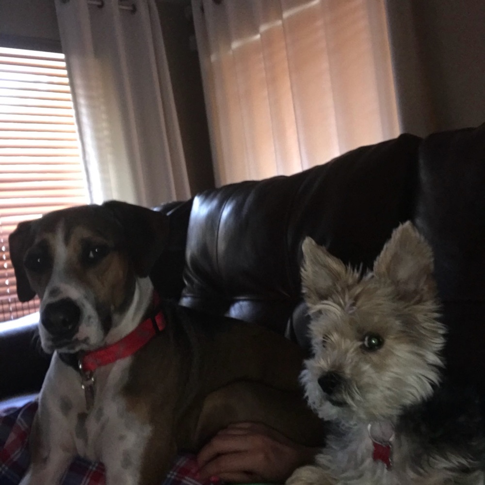 Meet your Posher, Cynthia